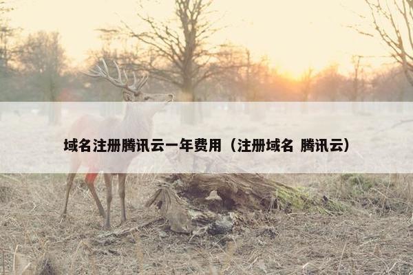 域名注册腾讯云一年费用（注册域名 腾讯云）