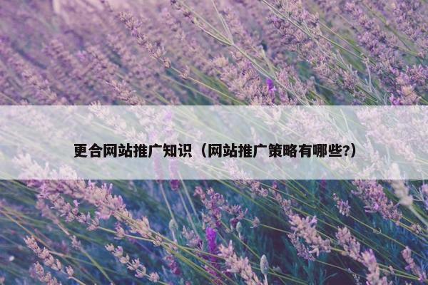 更合网站推广知识（网站推广策略有哪些?）