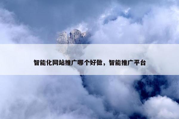 智能化网站推广哪个好做，智能推广平台