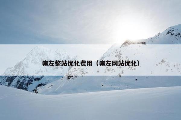 崇左整站优化费用（崇左网站优化）