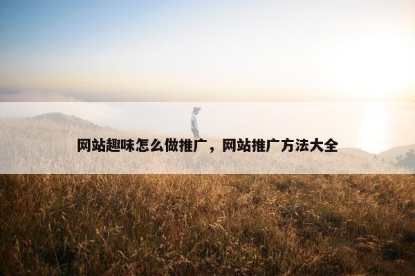 网站趣味怎么做推广，网站推广方法大全
