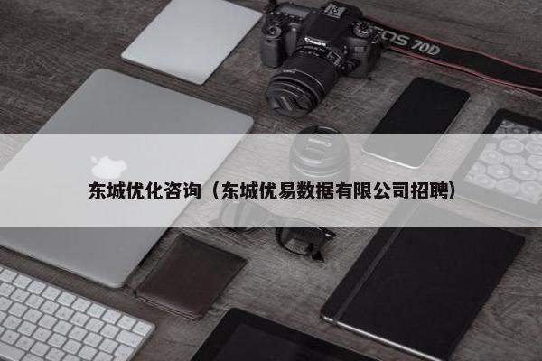 东城优化咨询（东城优易数据有限公司招聘）