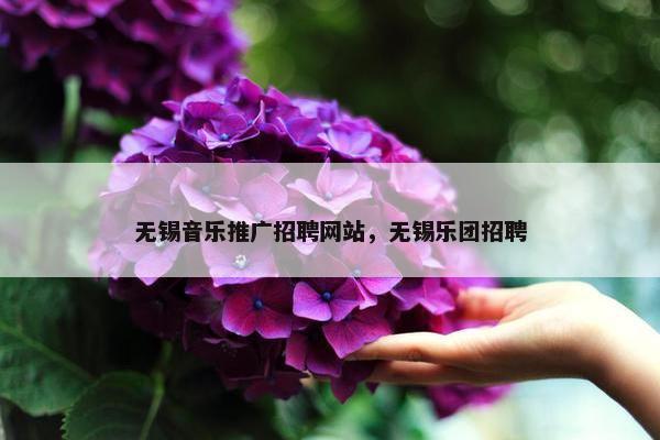 无锡音乐推广招聘网站，无锡乐团招聘