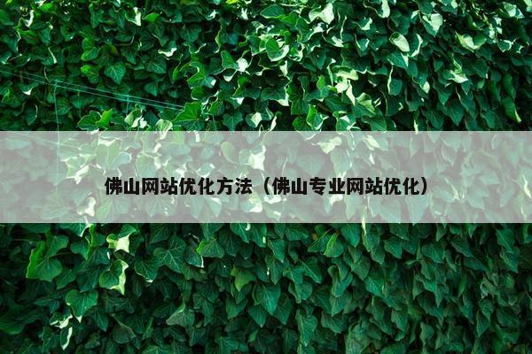 佛山网站优化方法（佛山专业网站优化）