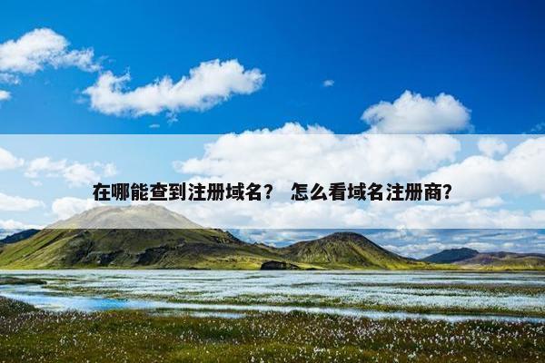 在哪能查到注册域名？ 怎么看域名注册商？