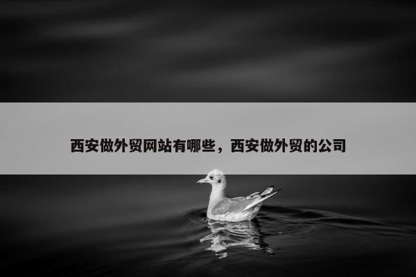 西安做外贸网站有哪些，西安做外贸的公司