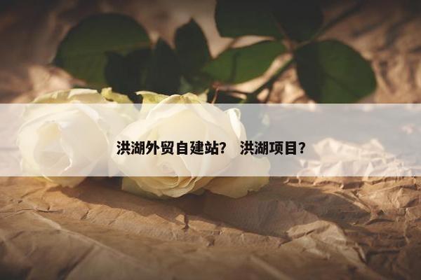 洪湖外贸自建站？ 洪湖项目？