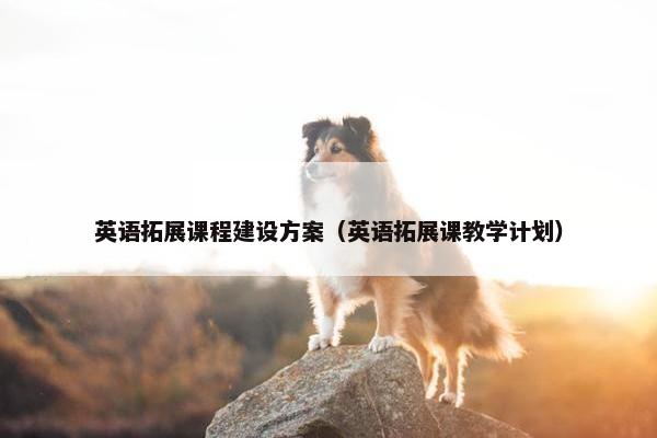 英语拓展课程建设方案（英语拓展课教学计划）