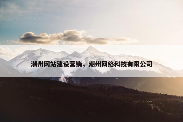 潮州网站建设营销，潮州网络科技有限公司