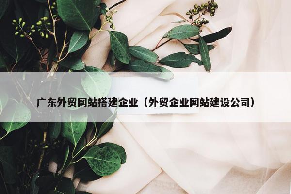 广东外贸网站搭建企业（外贸企业网站建设公司）